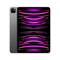 iPad Pro 11 inch 4th Gen Space Grey